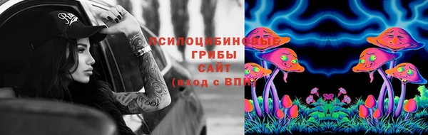 бошки Верхний Тагил