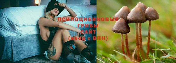 бошки Верхний Тагил