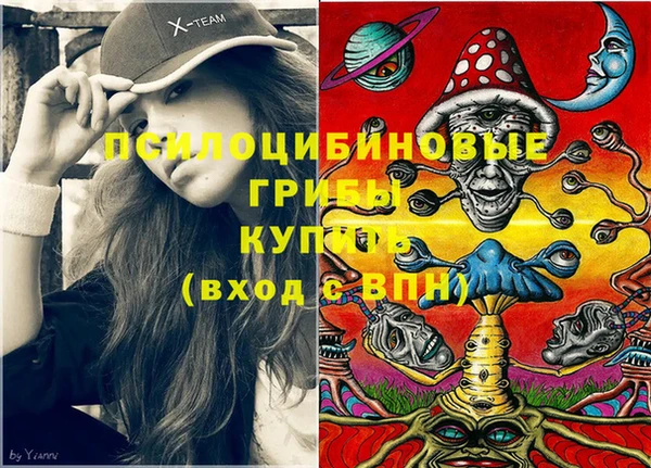 бошки Верхний Тагил