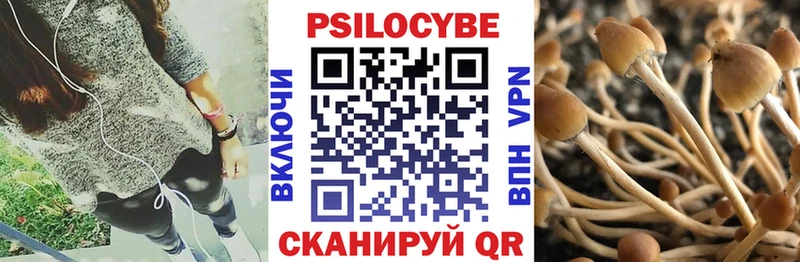 Галлюциногенные грибы прущие грибы  Купить  Топки 